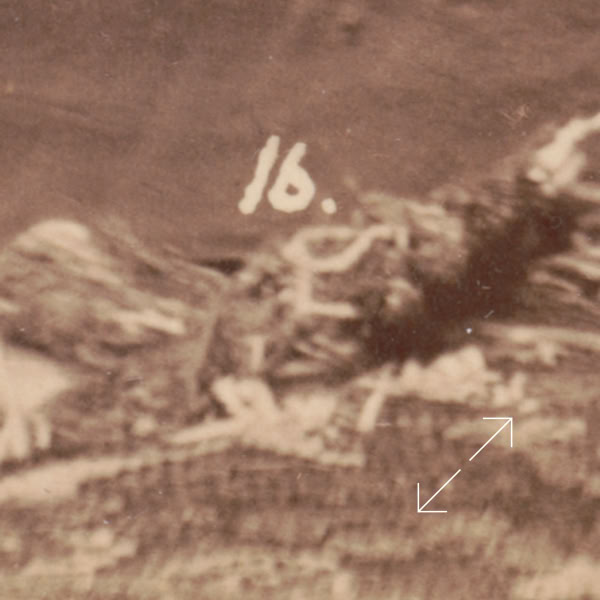 Oscar Wilde 1882 numbers